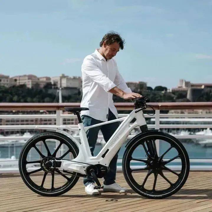 厉害了！全塑料电动自行车！